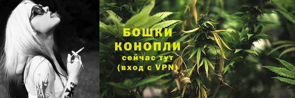 твердый Балахна
