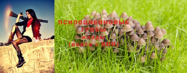 хмурый Балабаново