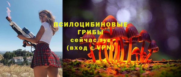 твердый Балахна