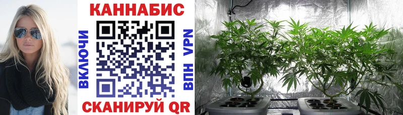 Канабис индика  Белёв 